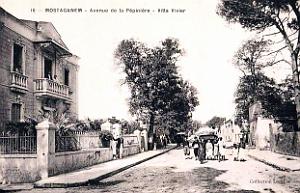 Mostaganem - Avenue de la Pepiniere
